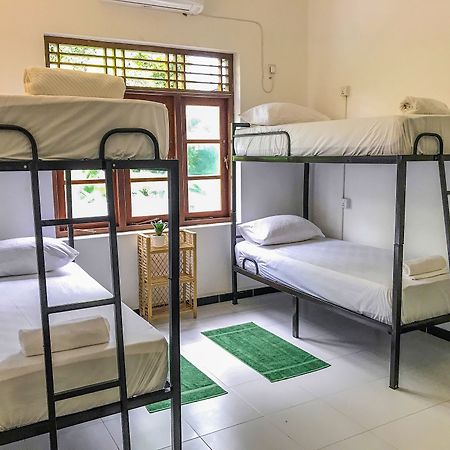 Hvad er de bedste hoteller i nærheden af Our Turtle Conservation Project? Dehiwala-Mount Lavinia Eksteriør billede